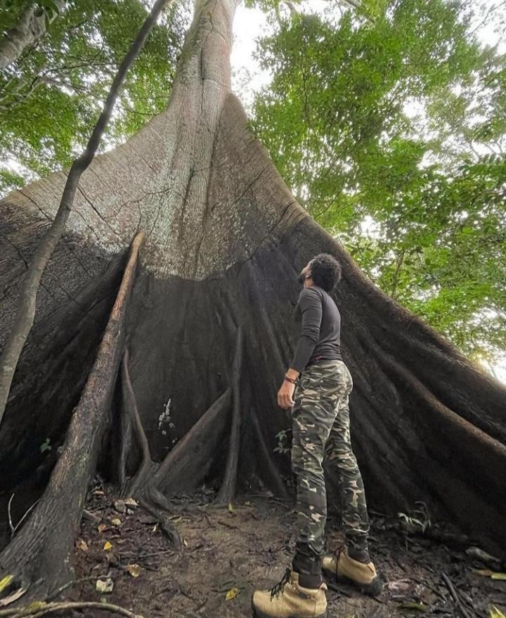 Отель Amazon Gero Tours Careiro da Varzea Экстерьер фото